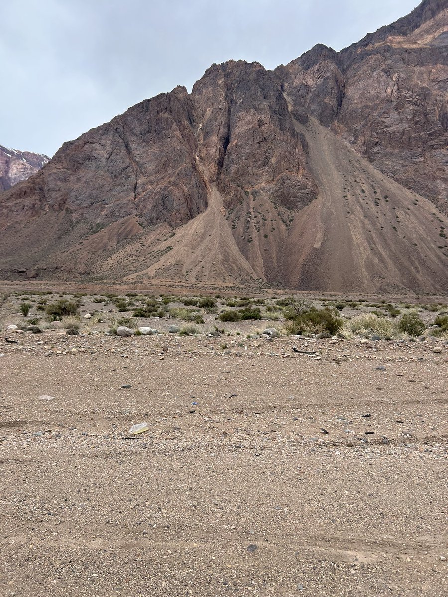 gabriel gonzalez tweet media