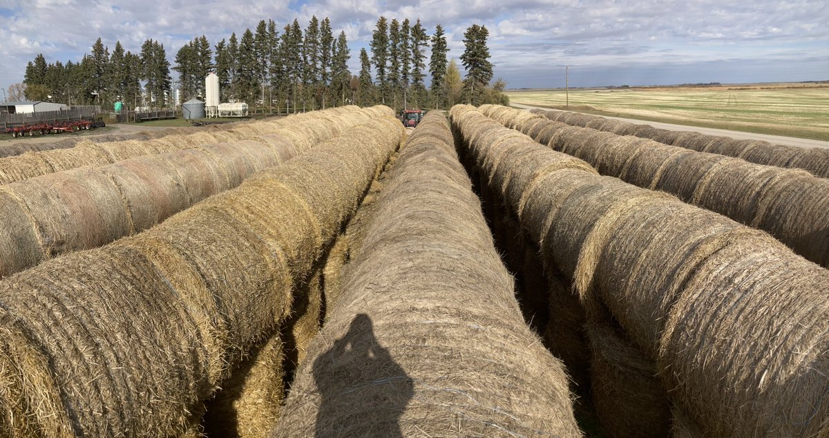 russpauls's tweet photo. Whacked, packed and stacked.
#hay24 is complete. https://t.co/KwODXDrgHq