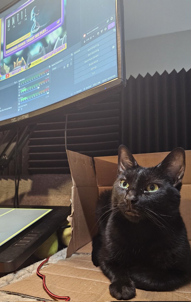 We are LIVE with part 3 of our playthrough of Until Dawn! We've only lost 1 so far. Lets see if we can save the rest of these horrible 35 year old teens!
twitch.tv/weflaps