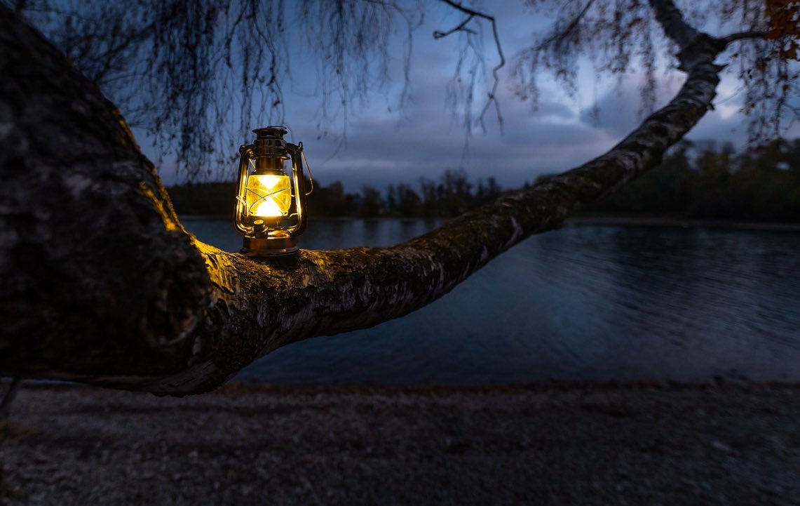 Some days,
I want to hold life to my chest
Lose myself in its wild beauty

Other days,
I want to slip into silence
Sleep in soft darkness
Where your lantern eyes
Sculpt #gardens from shadow
Before I drift into dreams

#vss365
#poem
#poetry
#writingcommunity

📷 Pixabay