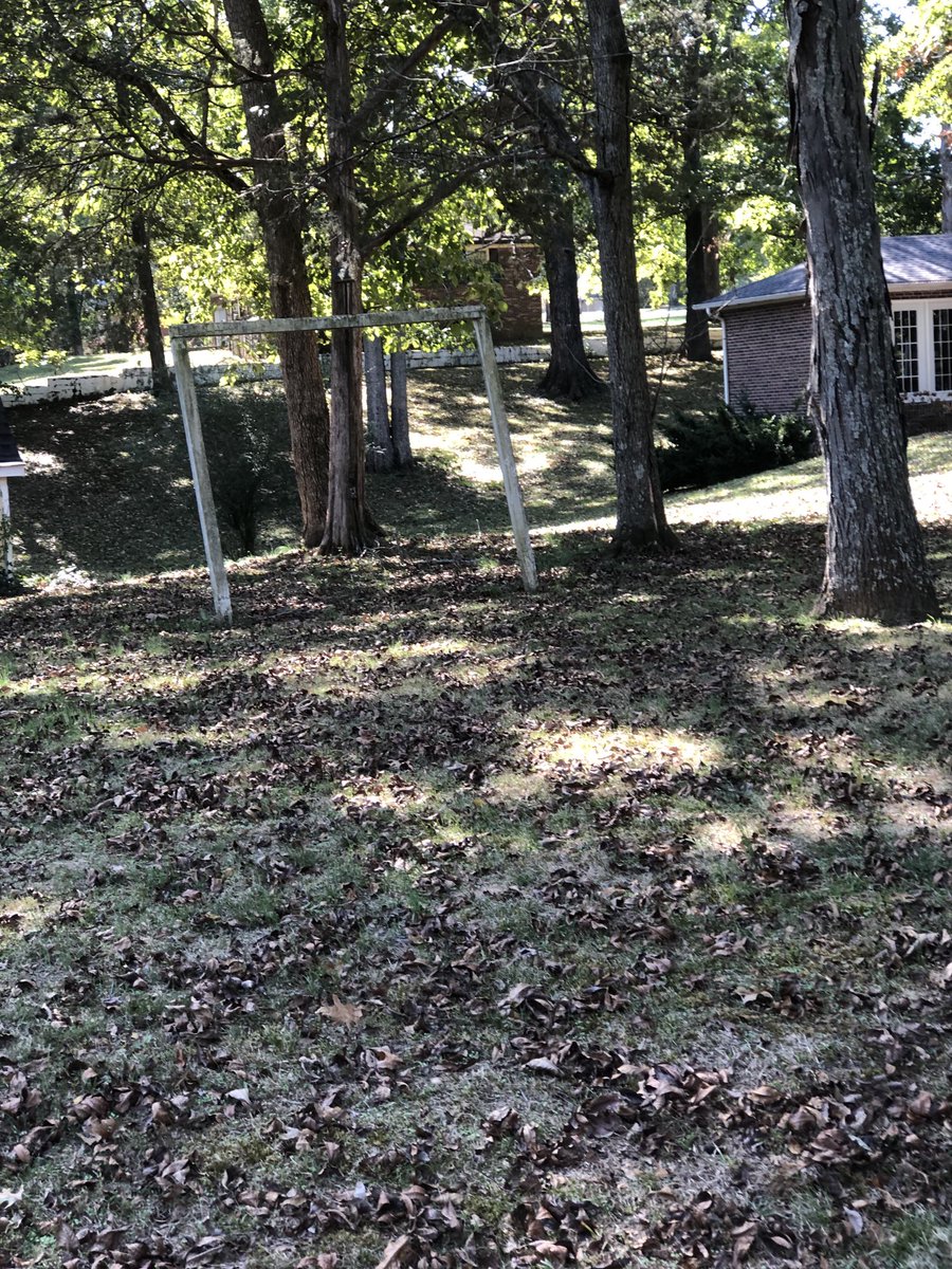 Sylvia Nelson 🍄 (@southeasternc1) on Twitter photo 