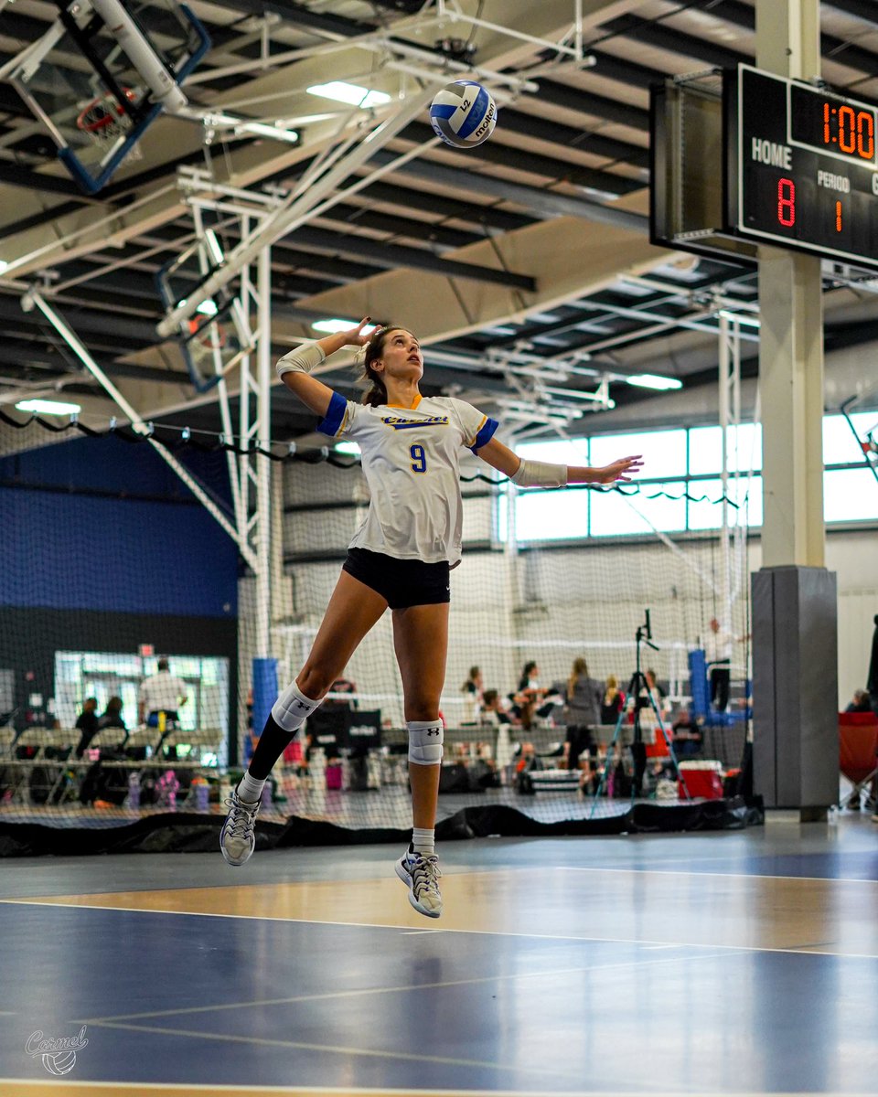 Carmel Girls VB (@carmelhoundsvb) on Twitter photo 