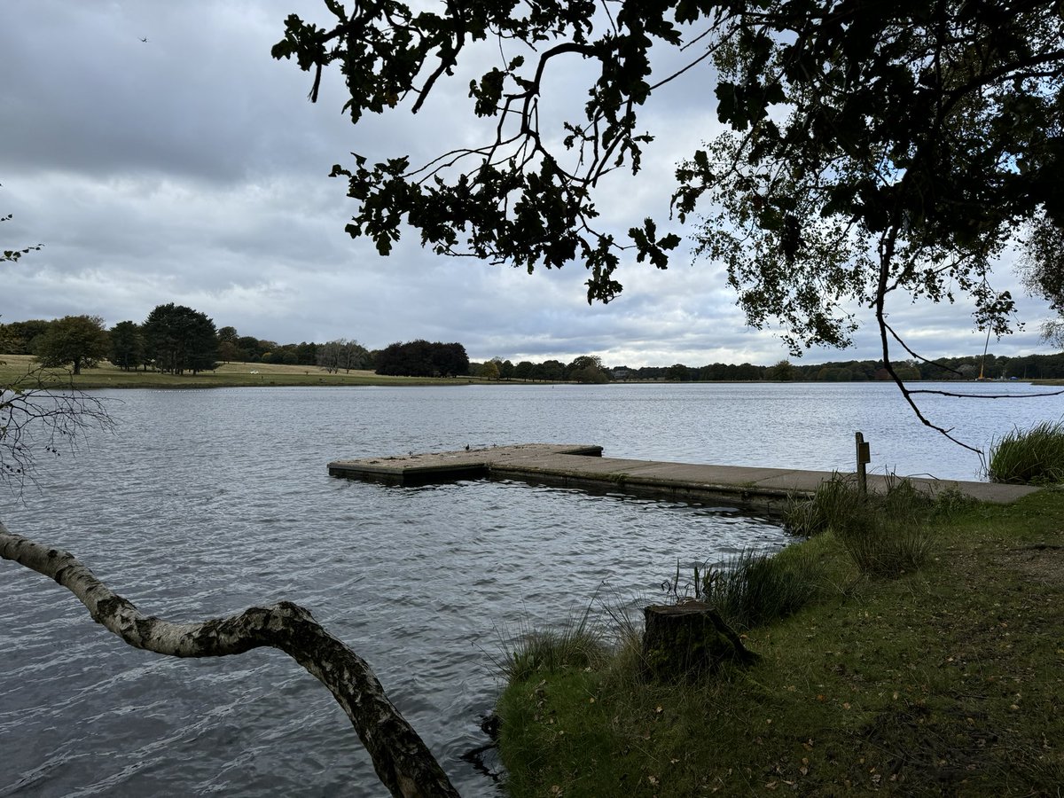 Changing seasons at <a href="/tatton_park/">Tatton Park</a> in Cheshire today, a local favourite. 

Star species: a great white egret in the reeds bordering the mere.