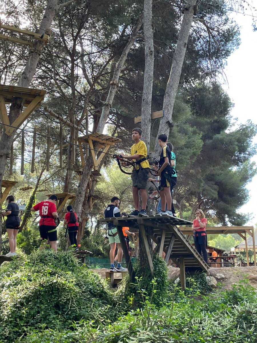 Col_Maria Rosa Molas tweet media