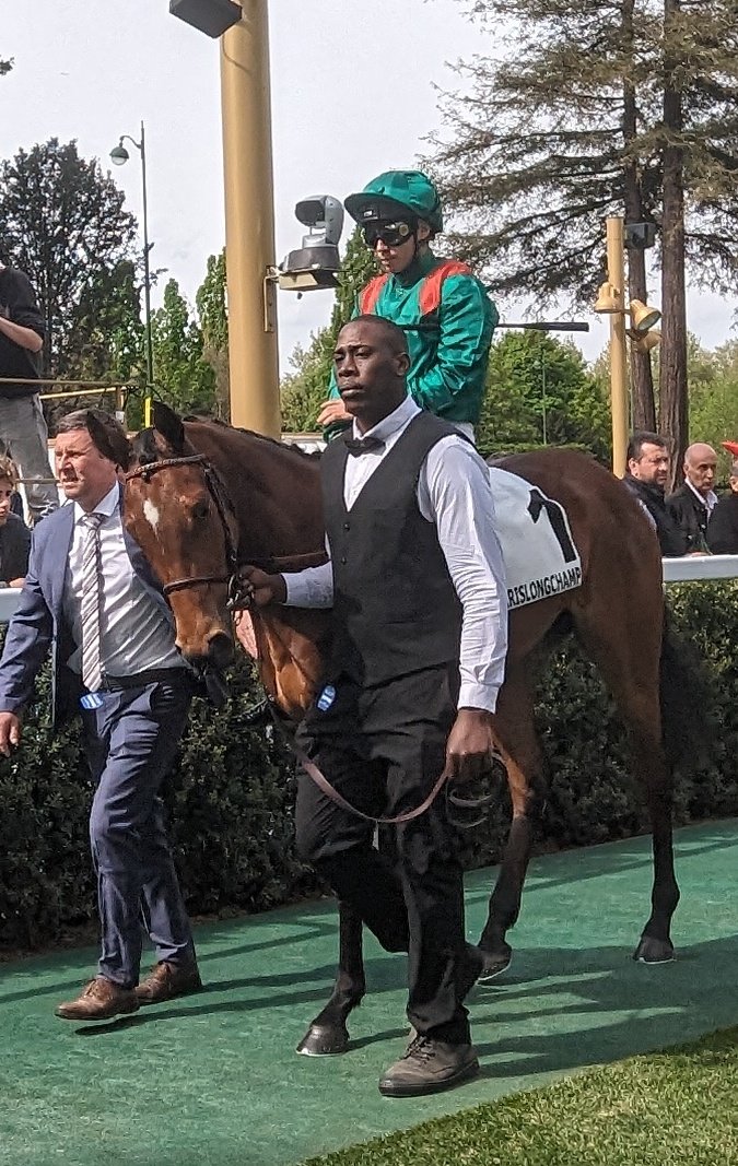 seenthestars's tweet photo. Best of luck to #Candala and @flothejock in the G1 Queen Elizabeth II Challenge Cup @keenelandracing 9.44pm ๐ฌ๐ง๐ฎ๐ช / 10.44pm ๐ซ๐ท. Drawn in 10 but the 1m1f trip looks the right one for this year's Prix de la Grotte winner.
@RacingPost
@rpbloodstock https://t.co/6eobiopFKi