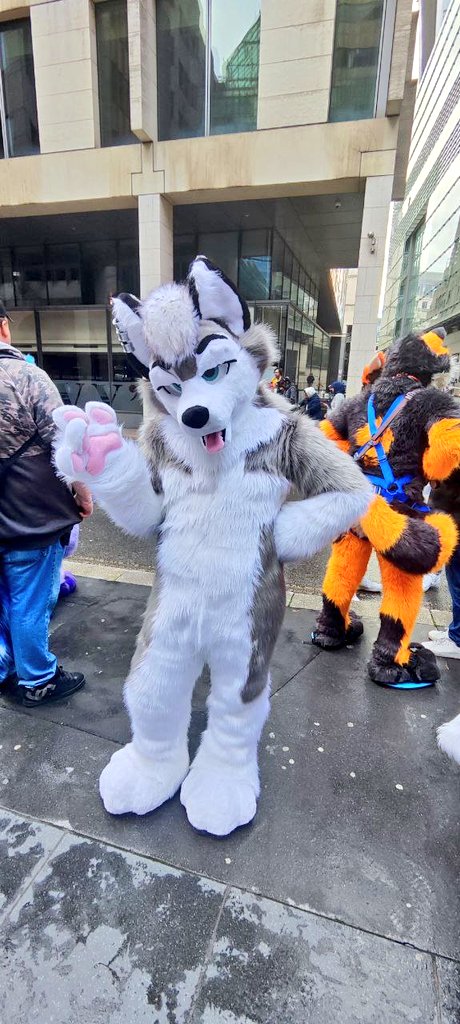 Had such a blast at Londonfurs today! And my first event in this new suit 🥰
Was great meeting everyone!