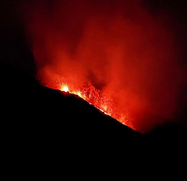 Piergiorgio tweet media