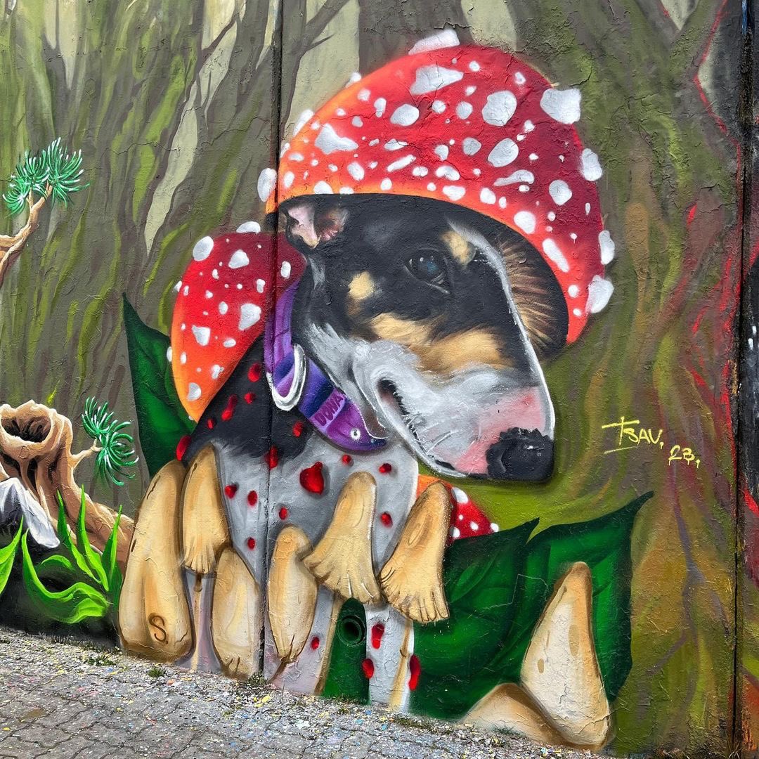 StreetArt_Praha's tweet photo. The @streetart_cz archives 💾
Art-work by BylinKE, ŠUTER &amp; Jakub Tsau of the 2023 @molotowpraha @MolotowPraha graffiti jam at Orionka 🍄🐸🌳🐶🎨🙌🏻
📸 20.03.2023.
📍 Praha, Orionka Graffiti Wall 
#kikabylinke #suterart #jakubtsau #streetartpraha #streetart #streetartczechia https://t.co/rU5ucHlGwN