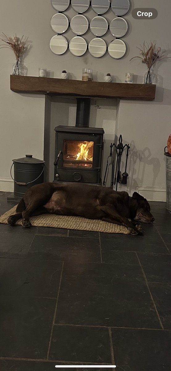 Tell me winter is coming, a very very happy chocolate lab after a day of gardening and beach walks and now snoring in front of the 🔥