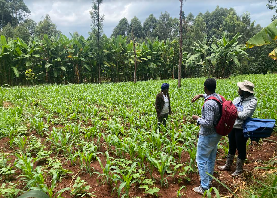 🇰🇪 In #Kenya with field workers and beneficiaries to strengthen agroecology skills! In collaboration with <a href="/kisiuniofficial/">Kisii University</a> and <a href="/JimmaUniv/">Jimma University</a>, 35 women farmers from Kisii received training in #agroecology. More info :  linkedin.com/posts/antenna-…