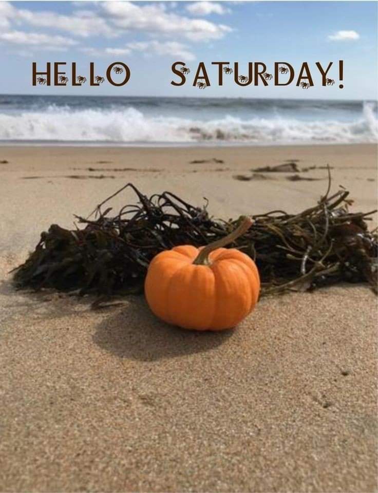 Ruthy Bell 💙🇵🇦 tweet media