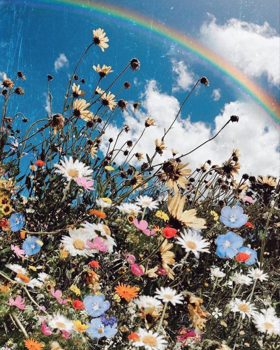 Eng__Brian's tweet image. 🤩🤩🥰🥰😻😻😻🌺🌺🌺😘🇳🇴🇳🇴