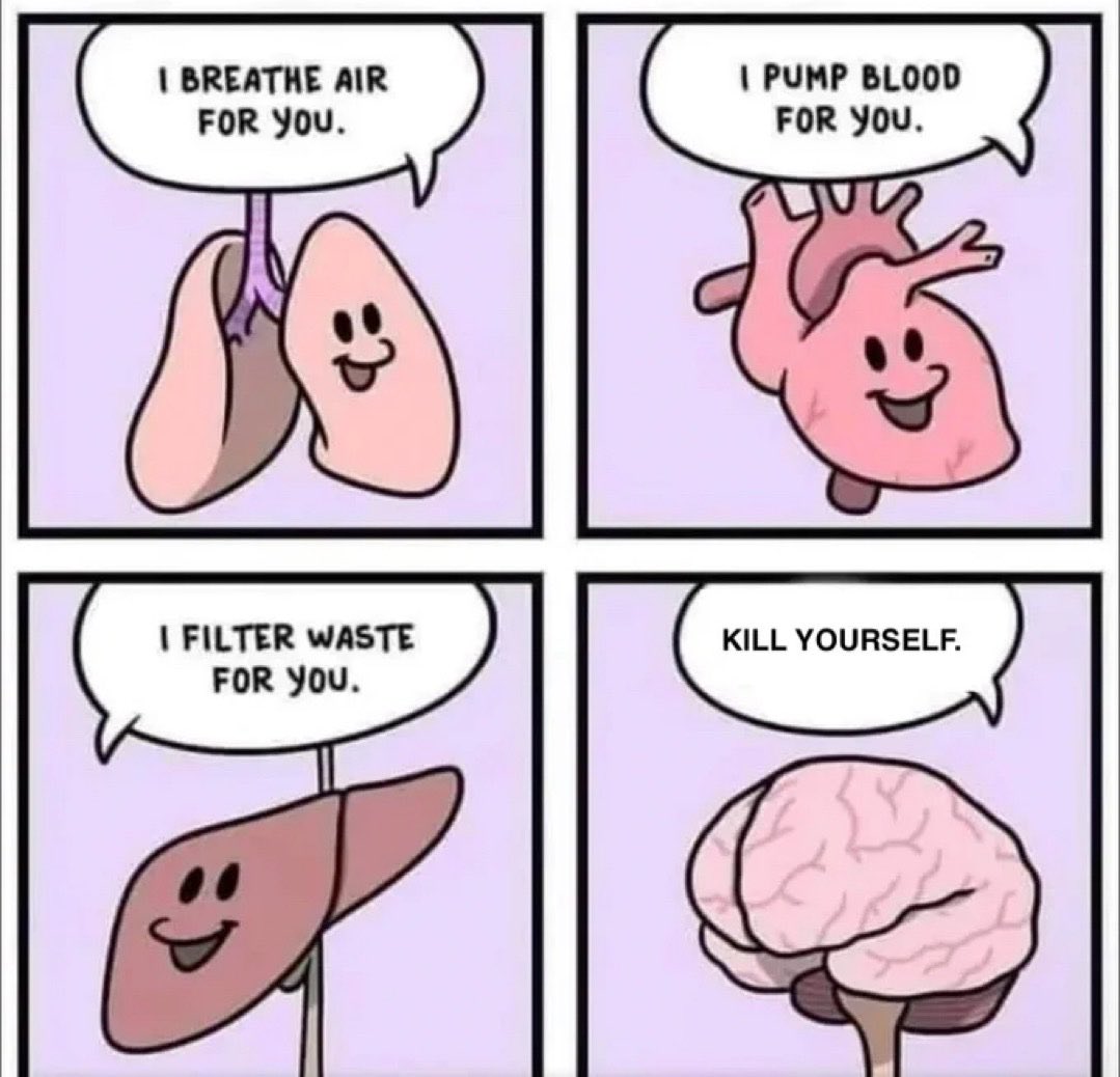 memechaotic's tweet photo. https://t.co/F2800YHLO9