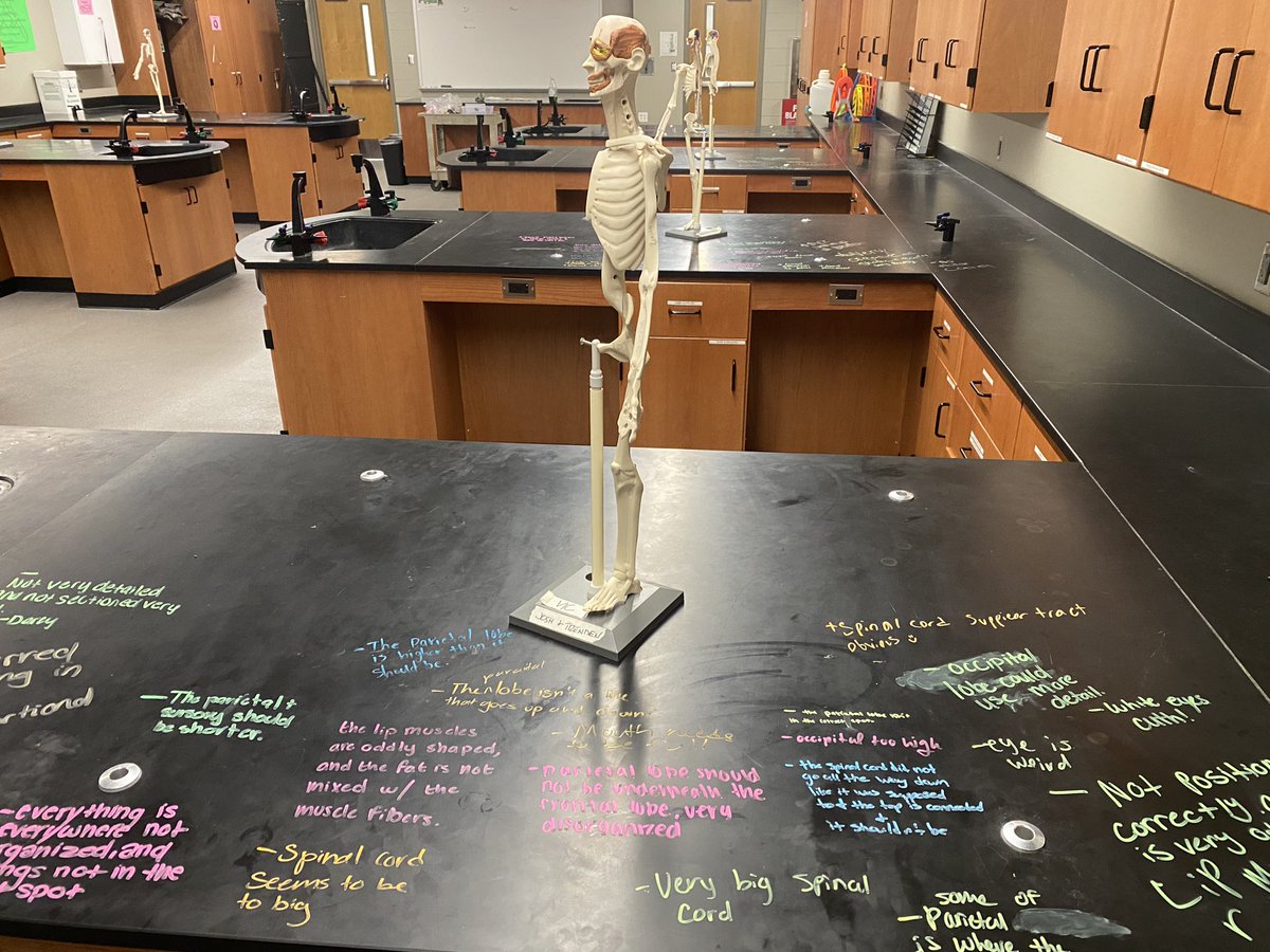 Student critique work in HBS lab