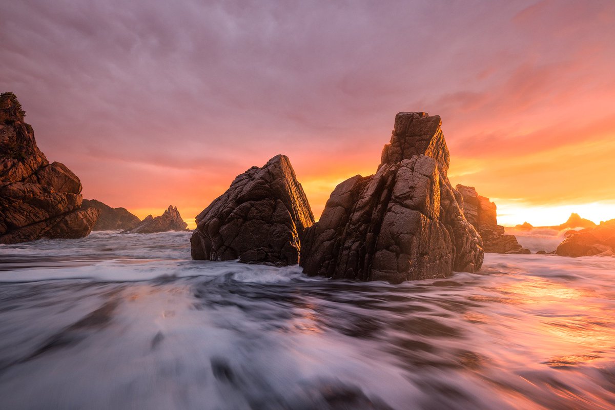 paulwilsonimage tweet picture