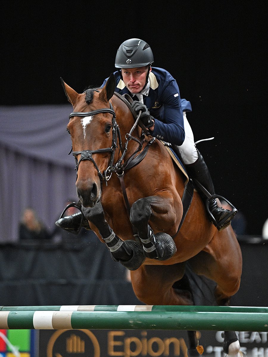 Carlina D’Argouge owned by the Old Lodge Stud putting her best foot forward in the Accumulator at the Horse of the Year Show to finish 2nd 🟣#hoys #2024 #showjumping #horses #equestrian