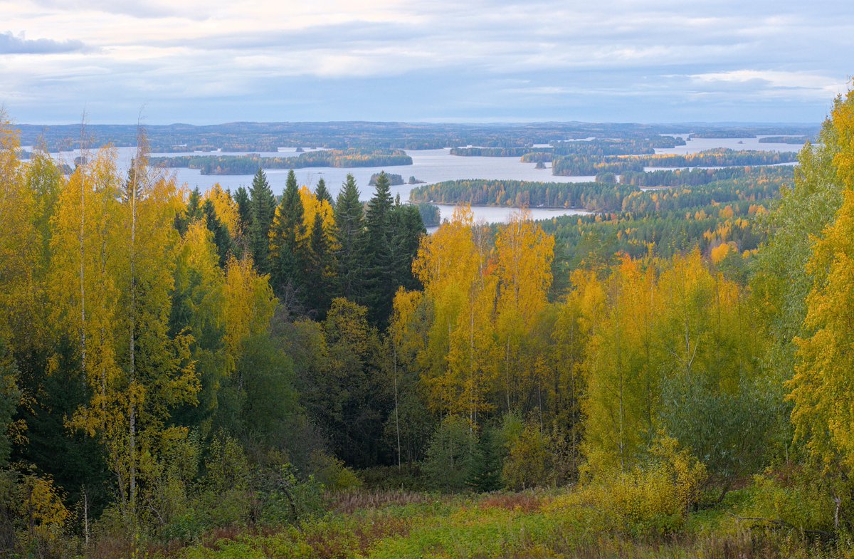 Yeah, autumn's pretty cool.