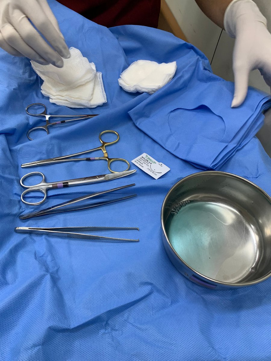 mdfaleiro's tweet photo. Also, this semester, I’m immersed in surgery every day, both in my classes and as a teaching assistant in the Department of Surgery. I’m really grateful for this hands-on experience, and my passion for surgery continues to deepen! 🔪💉 #FutureSurgeon https://t.co/e2V9r0677H