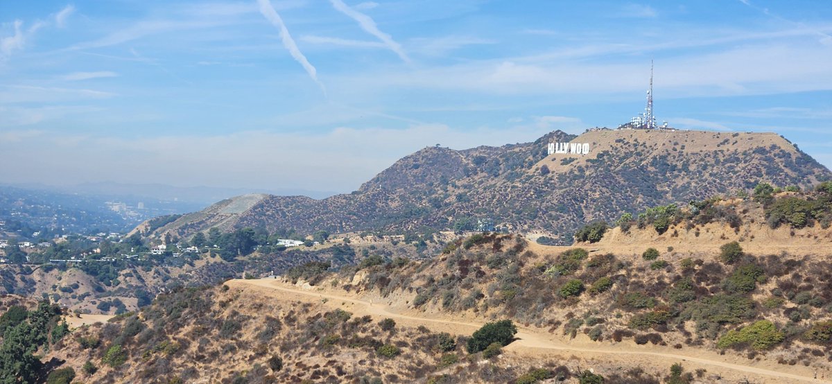 Danny Kopping tweet media