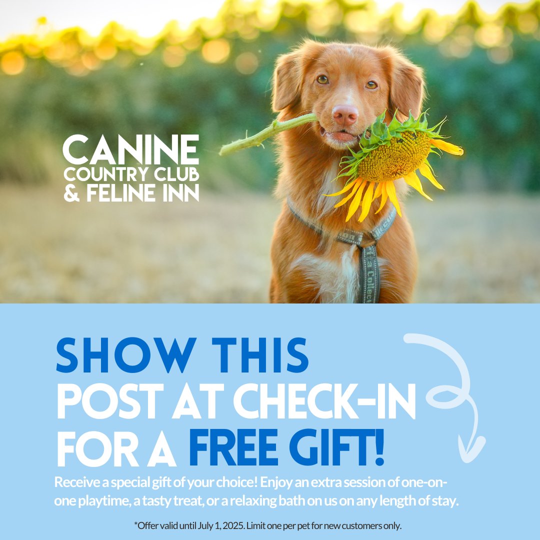 🎉 save this post 🎁 

Pick from an extra playtime session, a delicious treat, or a soothing bath for your furry friend—on us! 🐾 Book now and let the fun begin!

Tap our bio for more info! 🐶
caninecountryclubaz.com