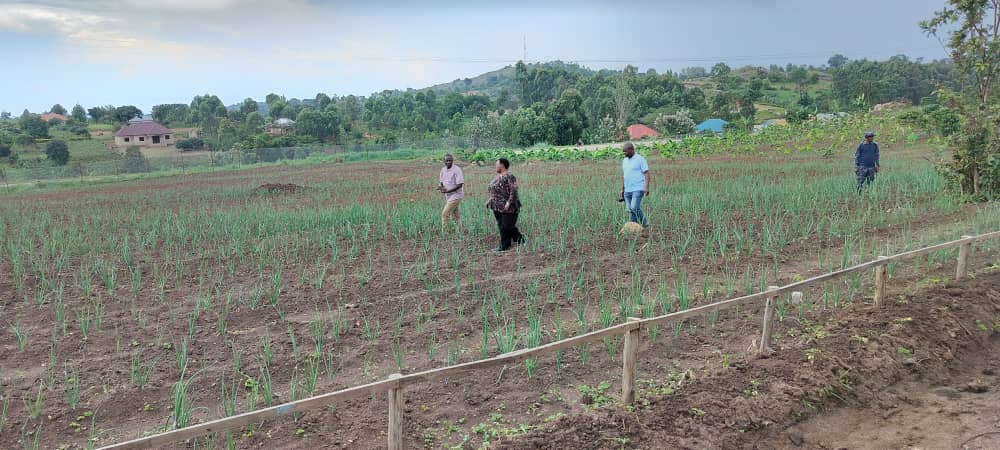 NABBANJA ROBINAH tweet media