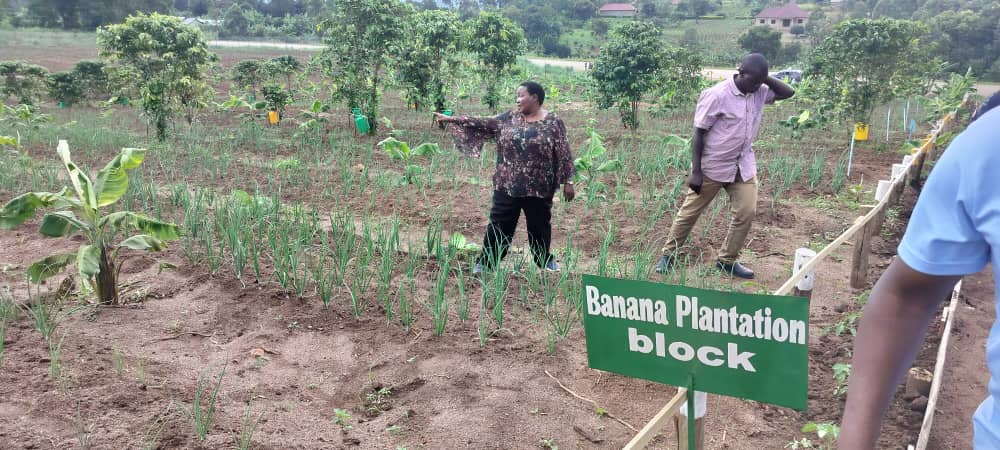 NABBANJA ROBINAH tweet media