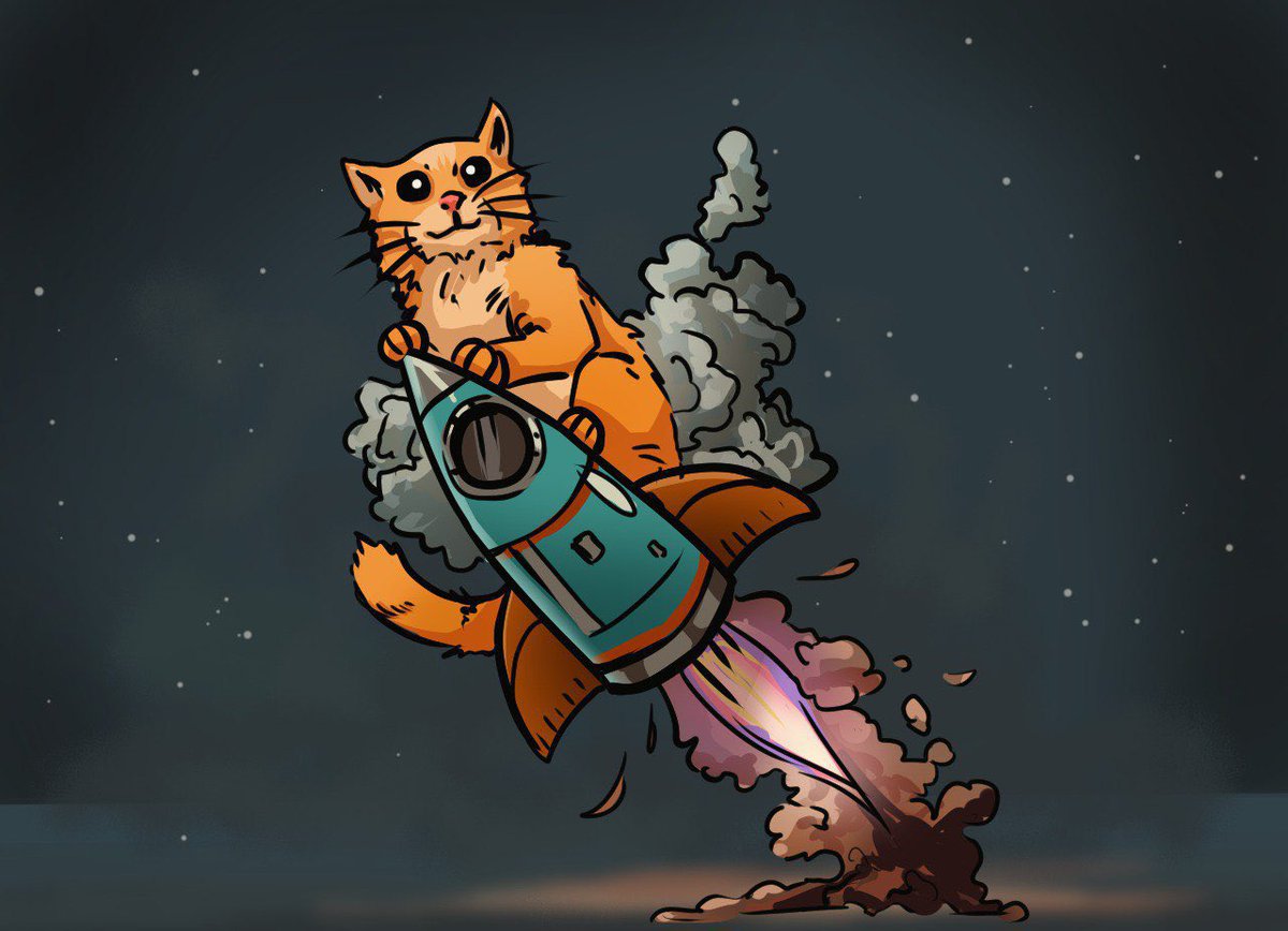 Selfie Cat is ready for it!

Tg: t.me/selfiecatsolan…

Website: selfiecatsol.live

Chart: dexscreener.com/solana/scatYPd…