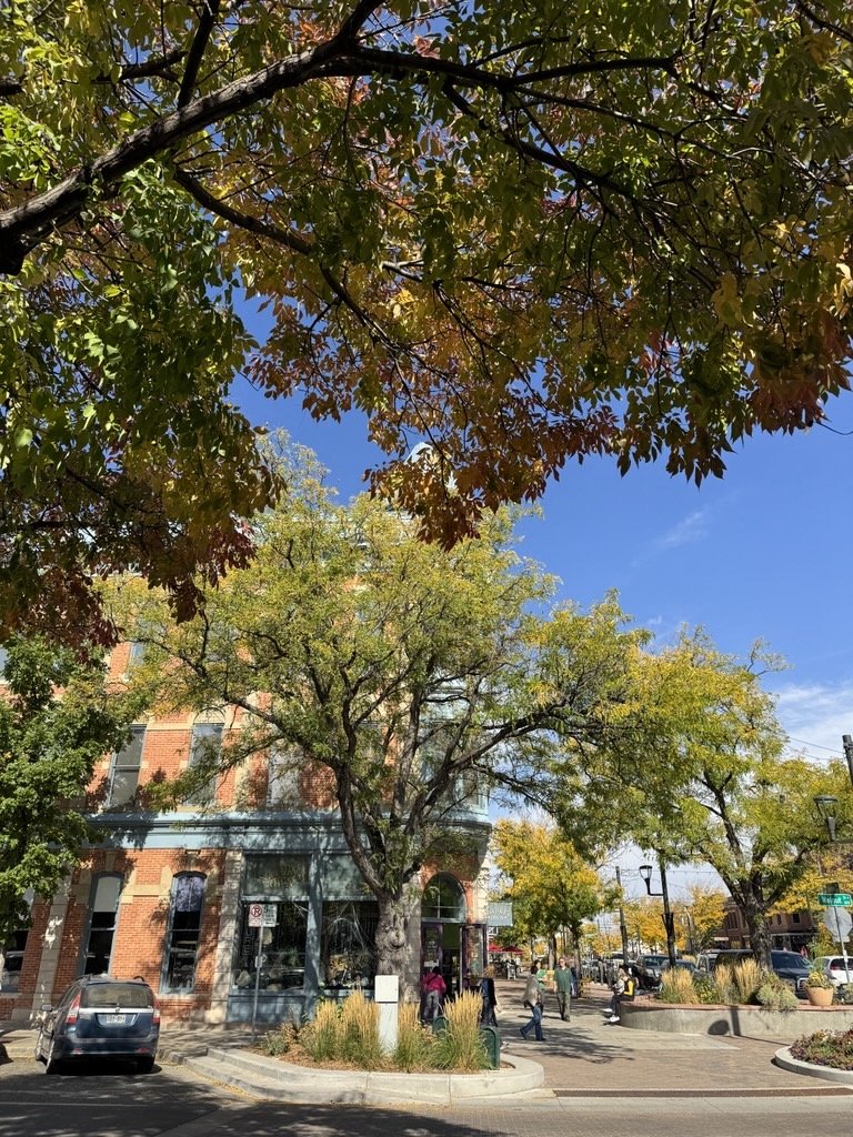 Visit Fort Collins (@visitftcollins) on Twitter photo Enjoy this beautiful autumn weekend weather by taking a stroll around <a href="/DowntownFoCo/">Downtown Fort Collins</a> 😌🍂🍁 Enjoy this beautiful autumn weekend weather by taking a stroll around <a href="/DowntownFoCo/">Downtown Fort Collins</a> 😌🍂🍁