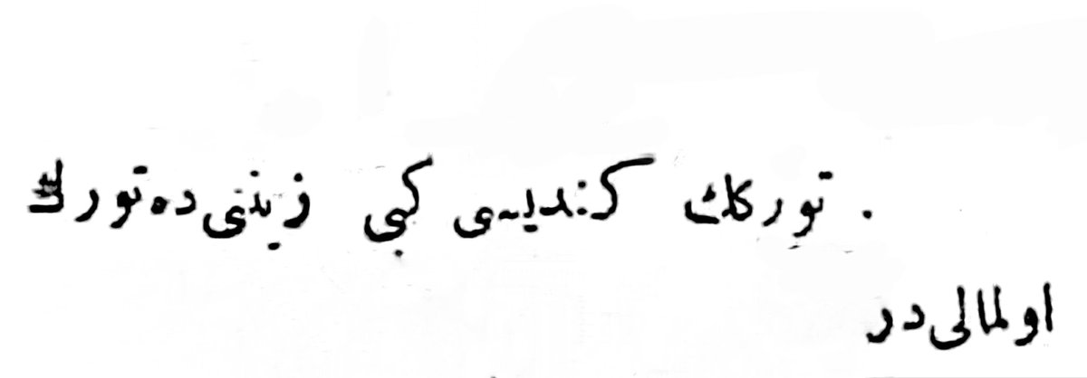 “Türk’ün kendisi gibi ziyneti de Türk olmalıdır.”