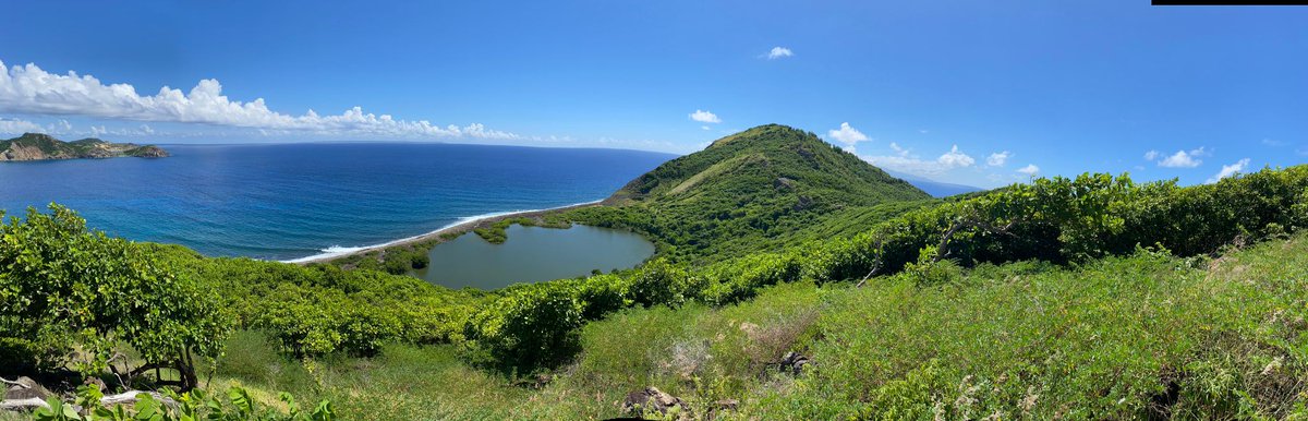 Yesterday,  we ventured to the untouched beauty of Grand Ilêt, an uninhabited island. Back in the lab, we were joined by an enthusiastic group of students from the University of the Antilles, eager to dive into the fascinating world of biodiversity through the #PlanèteRevisitée