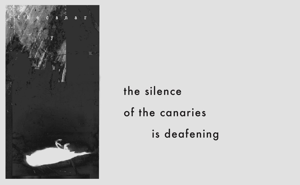 #climate #extinction