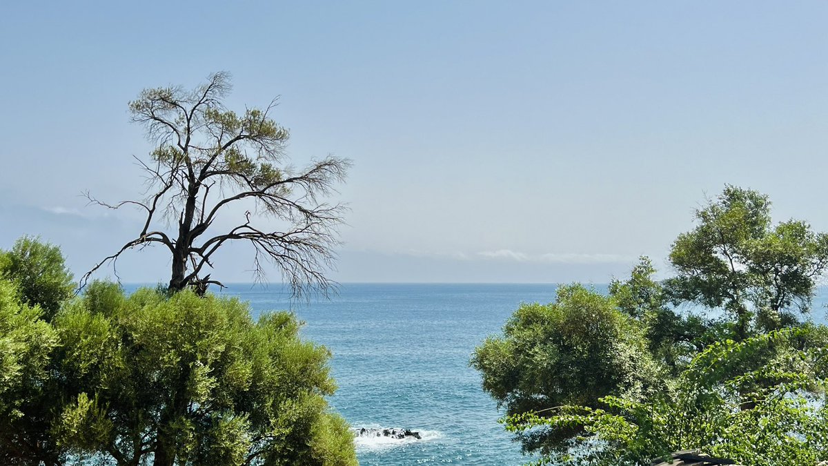 THREAD : Ma galerie après 2 mois en Algérie, chaque photo est un chef-d’œuvre 🇩🇿
