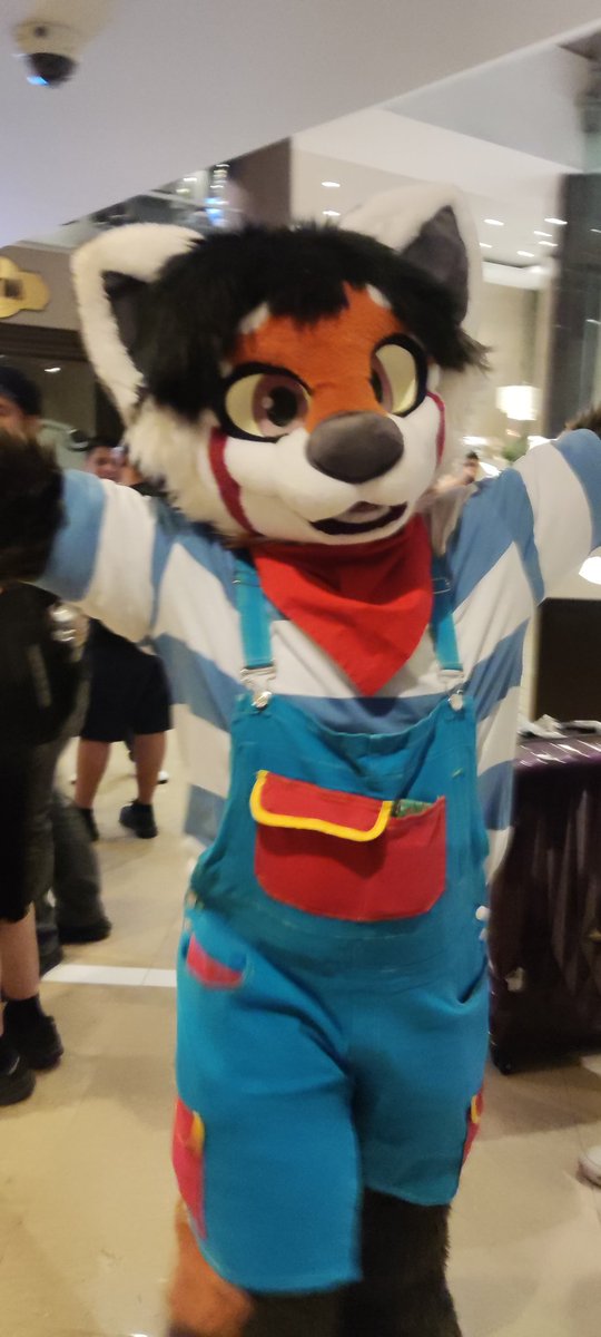 Kenora_Tohui tweet media