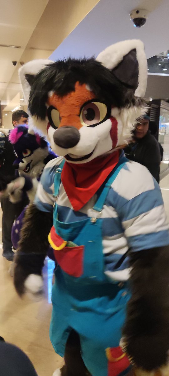 Kenora_Tohui tweet media