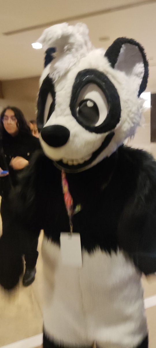 Kenora_Tohui tweet media