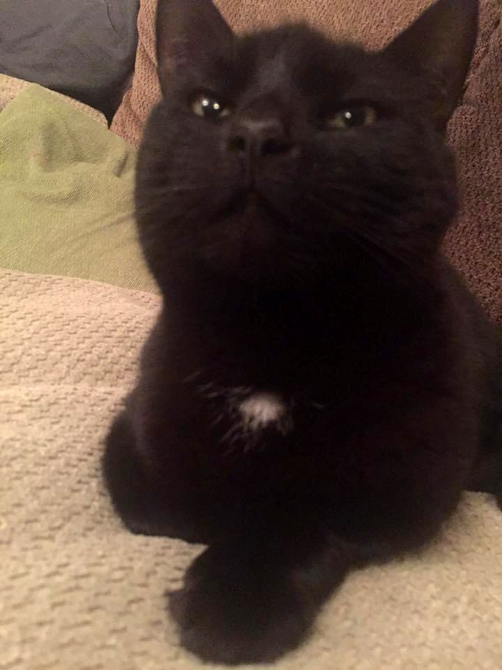 Sazplayz tweet media