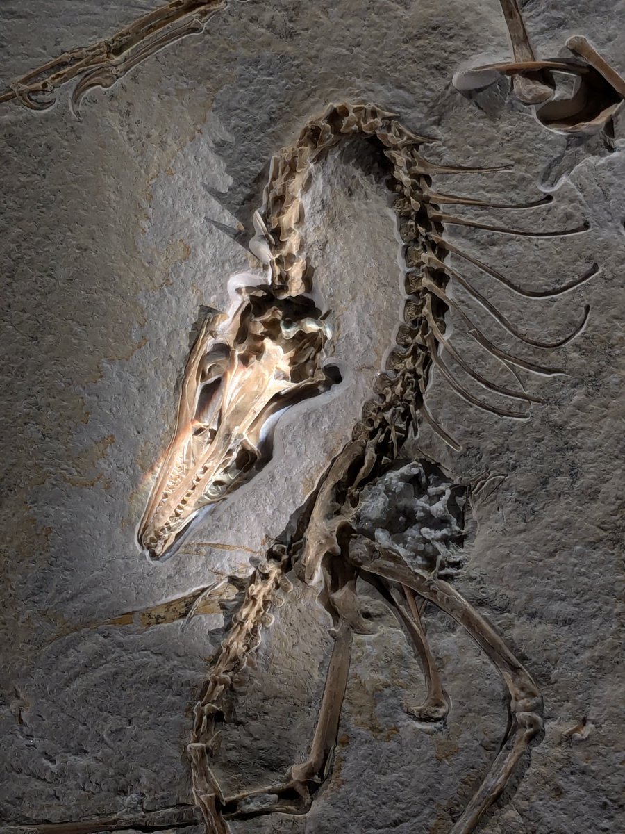 Matt Friedman tweet media