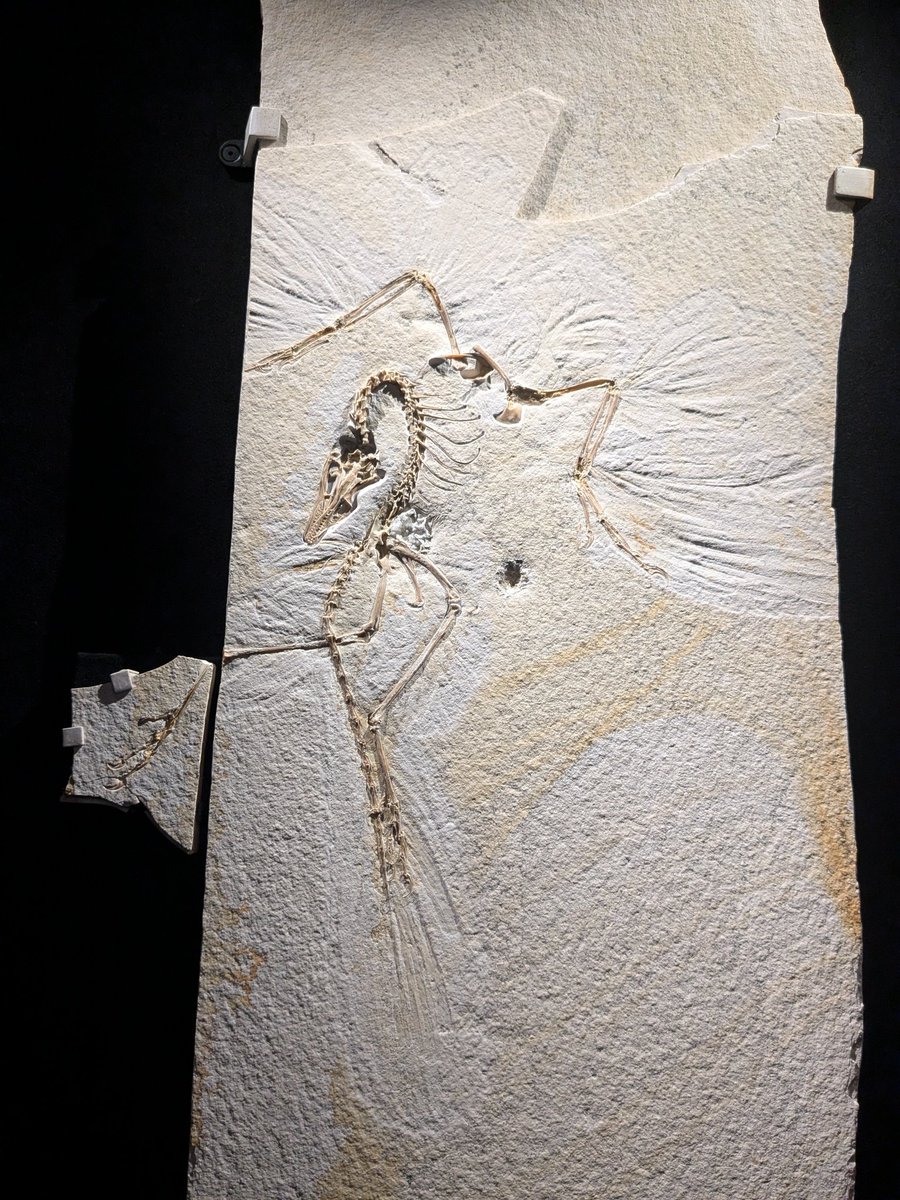 Matt Friedman tweet media