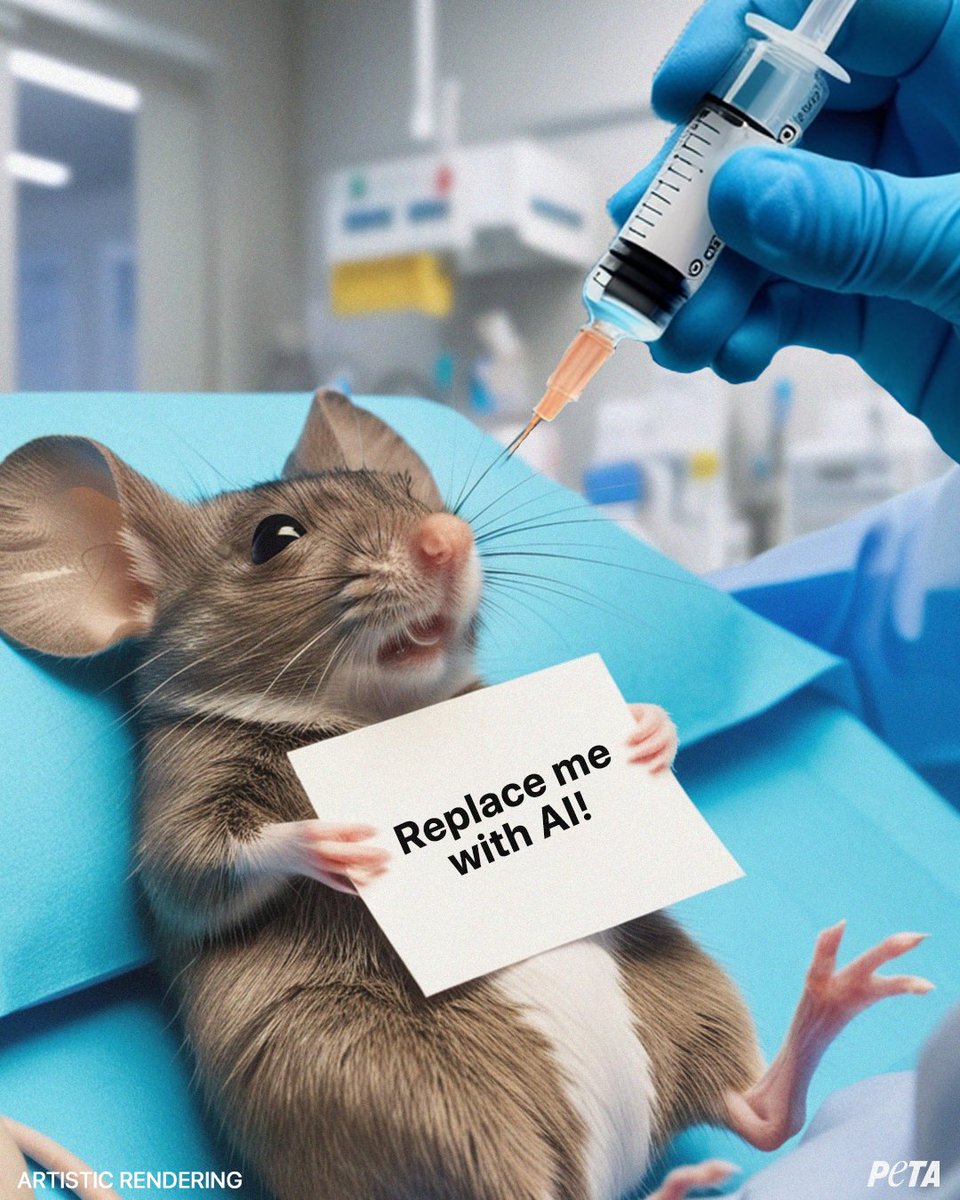 peta's tweet photo. Humans may be concerned with AI taking their jobs, but I bet the mice, rats, &amp; monkeys trapped in labs wouldn’t mind AI taking 𝘵𝘩𝘦𝘪𝘳 place. https://t.co/Fq3MIwE609