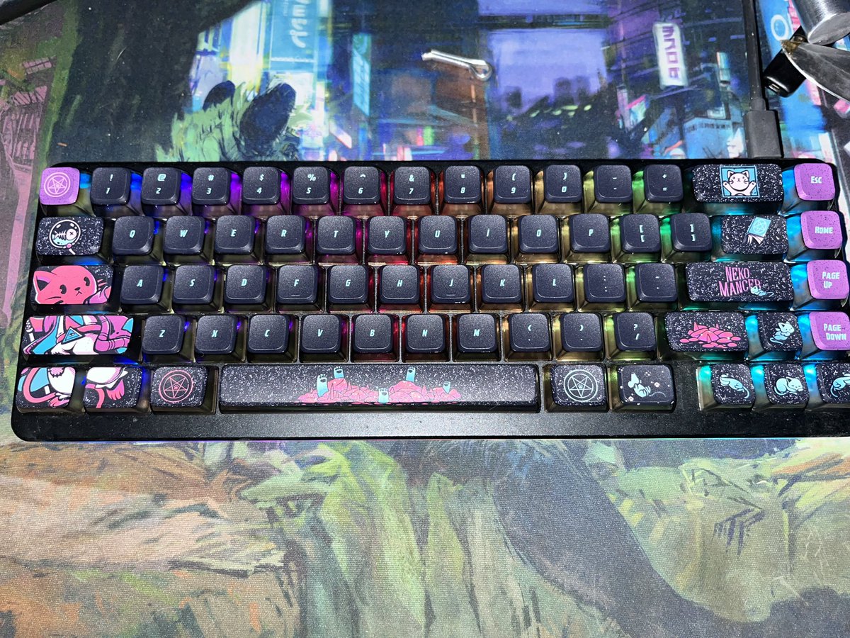 Nau Wusky 🔜 TFF tweet media