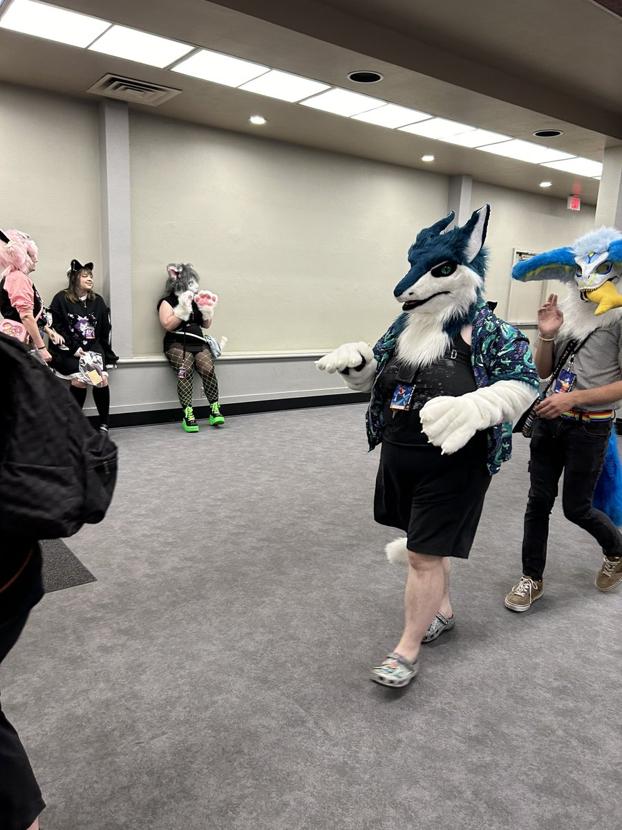DamnitKnightly's tweet photo. Some familiar faces https://t.co/m2WsMLWRQP