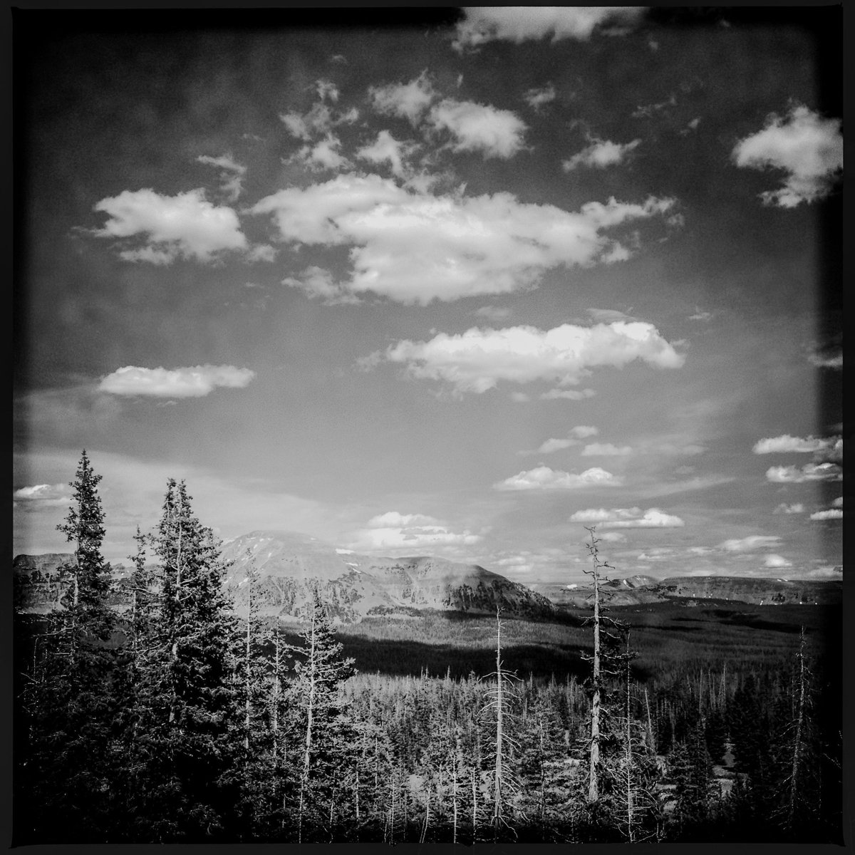 Bald Mountain Lookout area in the High Uinta Mountains of Utah ⛰️