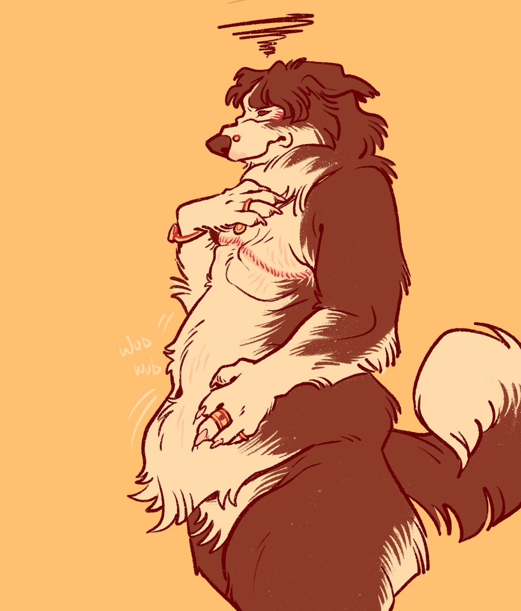 alt: no longer the lithe little collie he was