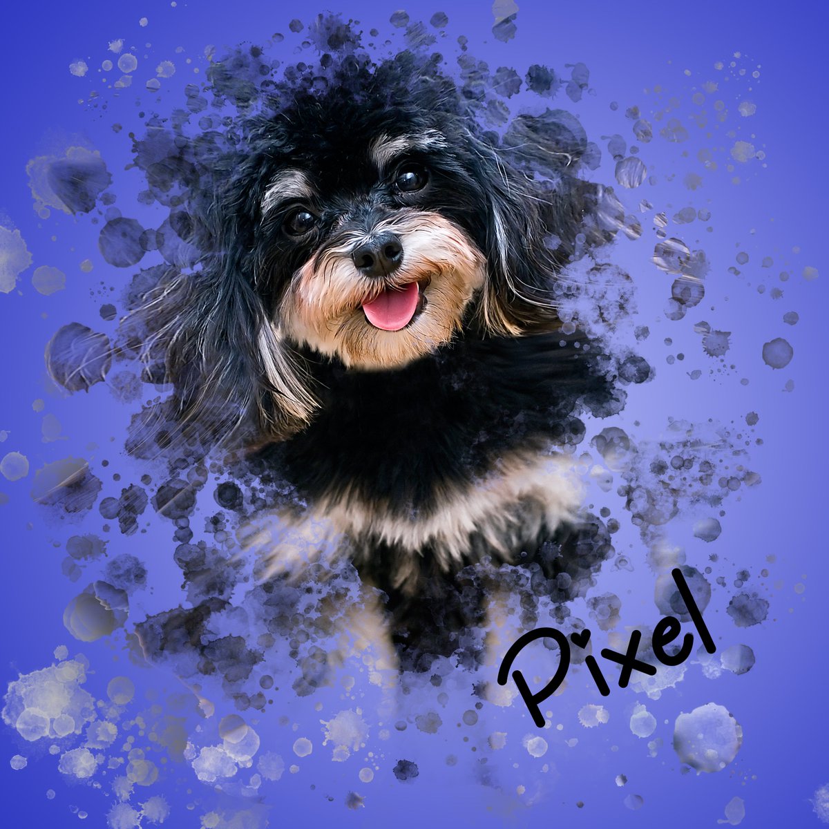 Kitty_Haz_Claws's tweet photo. Hey friends! I've been quiet b/c of my newborn lil girl, and she's been racking up a bunch of medical bills so I'm opening up a few commissions for those who are interested in some pet portrait art! https://t.co/OPVNHdyWkE https://t.co/VfU4IL5huH