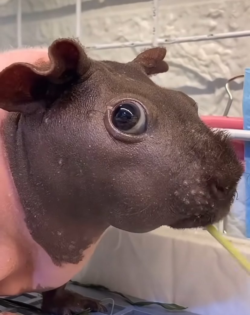 “are you fucking stupid?”

me: