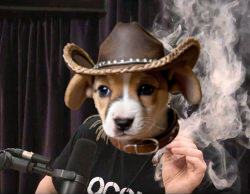 ChuckHarri66678's tweet photo. @AltCryptoGems Better get some $COWBOY before it's too late then.

CA: BvduSVu2XebcPo7uAKYTK2eKpzJ9A8s1rRMLkX1u7M9E https://t.co/ZNK8VawY9S