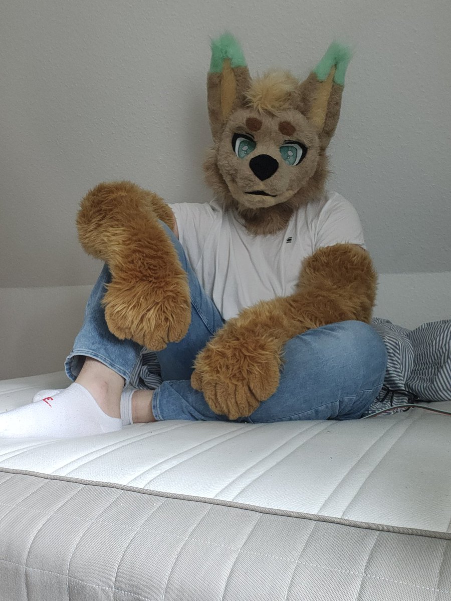 \\ howl // 🦊migrated to that other site. tweet media