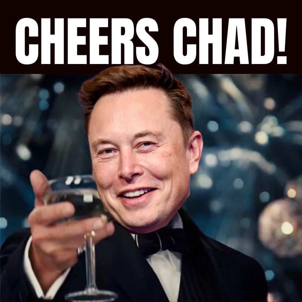 Totally Safe Longterm Asset $TSLA tweet media