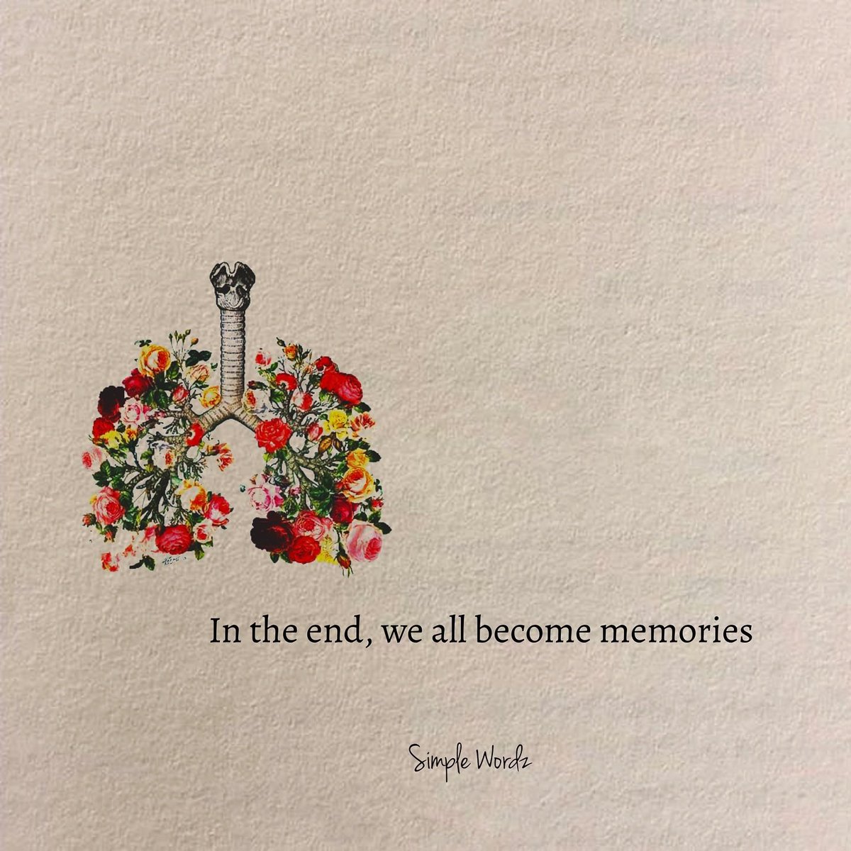 ms_tourist's tweet photo. RIP to the Duke of Makgobaskloof…We will sure miss your late night cooking sessions❤️‍🩹🕊️ https://t.co/CpZ1LdIQhV