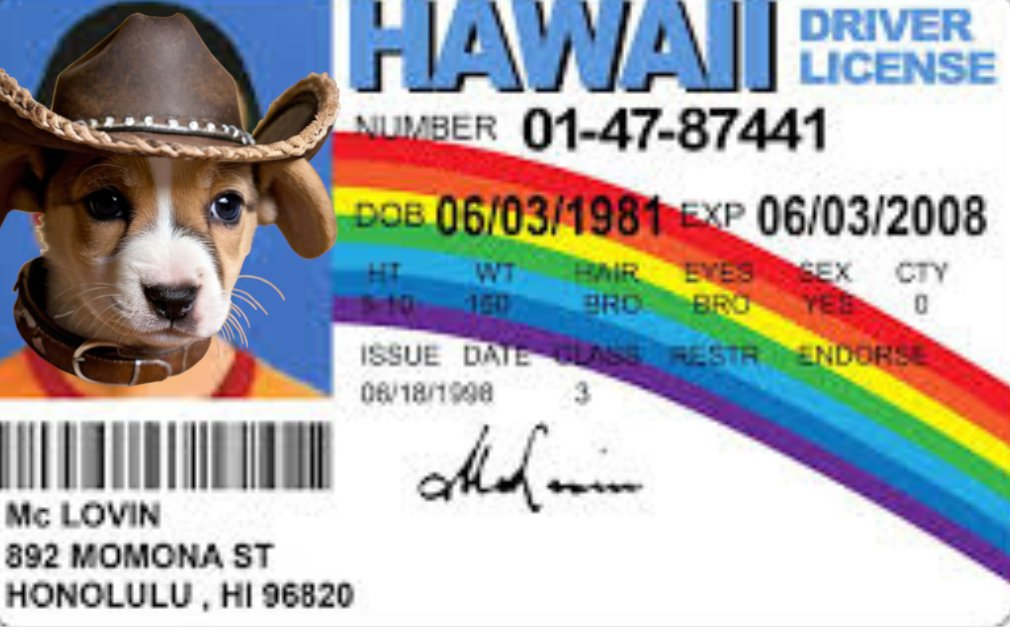 eller54179's tweet photo. @itsFoxCrypto $COWBOY is going to ATH

CA: BvduSVu2XebcPo7uAKYTK2eKpzJ9A8s1rRMLkX1u7M9E https://t.co/Vbtu6gDeoz